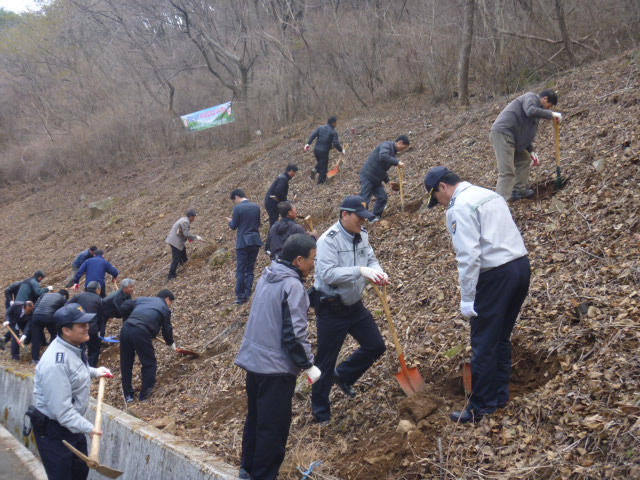 크기변환_640구절산_십리_복사꽃길_조성_식수_행사1