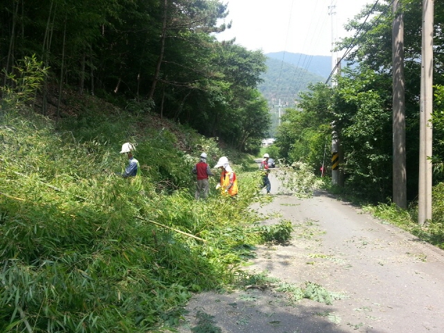 크기변환_고성군,_산_연접지_도로변_정비_나서(7)