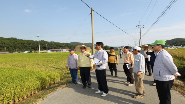 640하학열 고성군수, 벼 이삭 도열병 발생 현장 시찰하일면 수양마을)