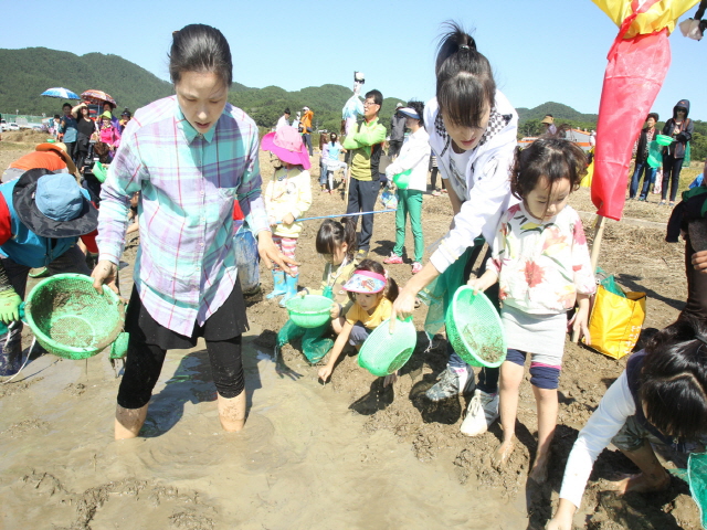 6402013년 제5회 생명환경농업 현장 체험행사 개최(미꾸라지잡기 체험3)