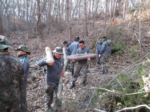 크기변환_고성군,_군병력_합동으로_소나무재선충병_방제_총력1.jpg