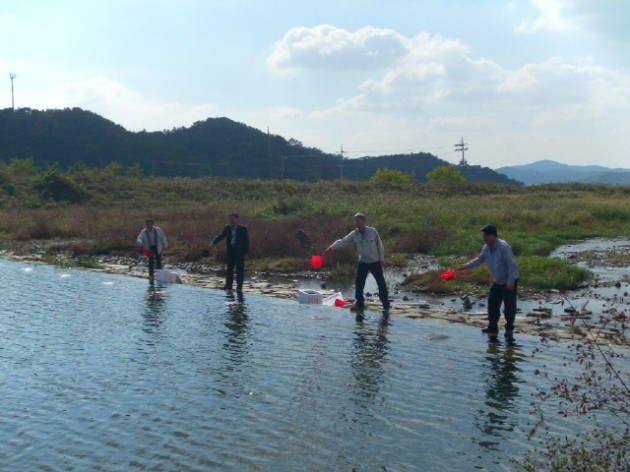 크기변환_고성군_다슬기_방류사진(영오면_영천강_지류).jpg