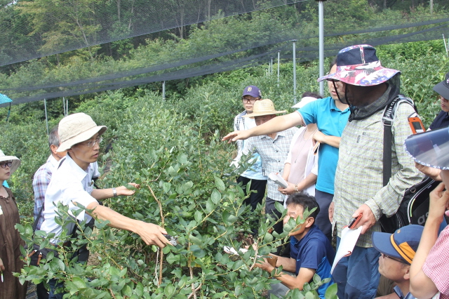 640블루베리 재배관리 해와전문가 초빙교육 (2).jpg