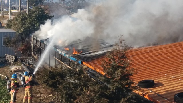 28 고성군 축사 화재.jpg