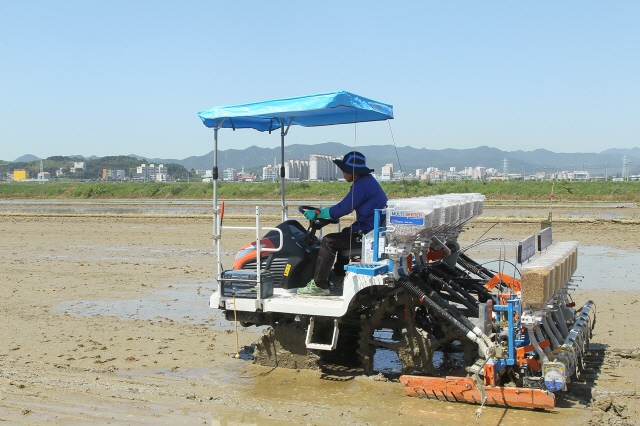 6405월17일 벼 적정생산 및 직파재배 연시회 (1).JPG