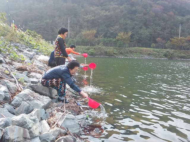 고성군, 붕어 어린고기 방류(하이면 봉현저수지) (2).jpg