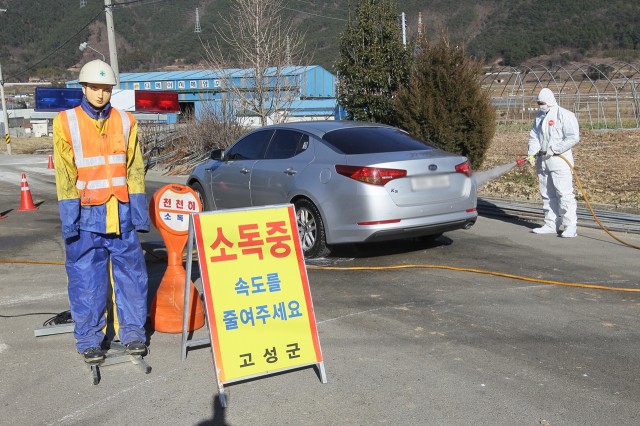 고성군, AI 확산방지 구슬땀…훈훈한 미담 이어져 눈길 (거류면 은월리 이동통제초소에서 8358 부대 군인들이 소독 작업을 하고 있다) .JPG