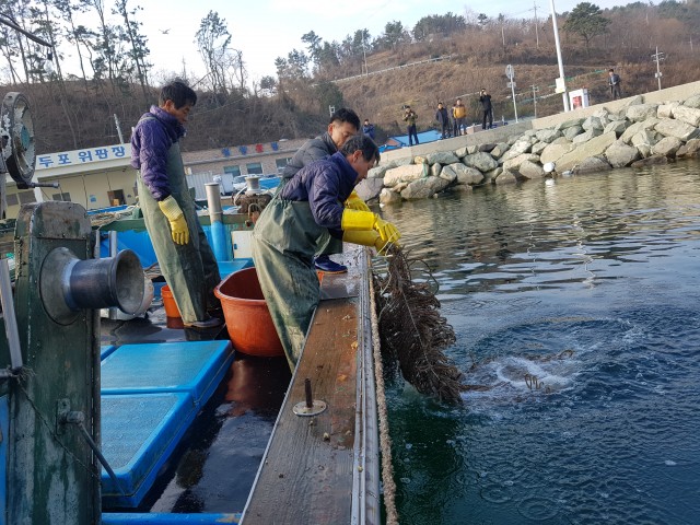 고성군