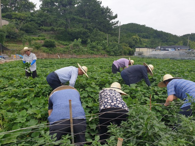 농촌지도자 고성군연합회